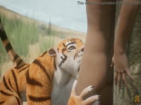 Tiger giving blowjob to beastiality lover before sex